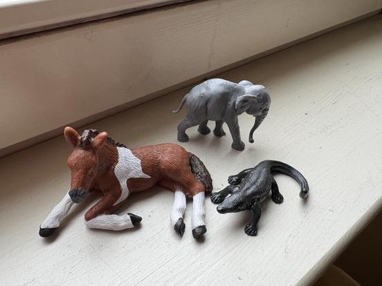 Tiere